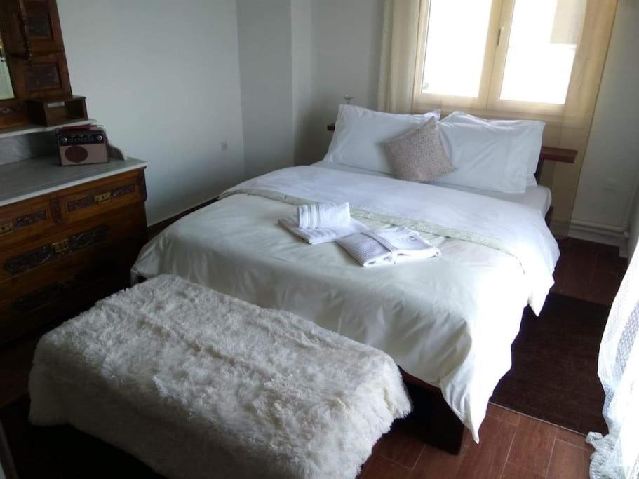 Akadimia Luxury Apartment Mytilíni 外观 照片